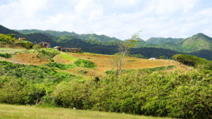 Landschaft in der Escambray