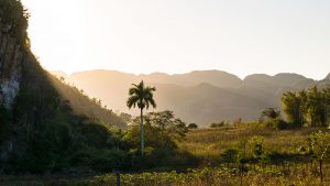 Valle de Viñales in Pinar del Río in Kuba