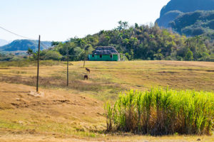 Valle de Viñales
