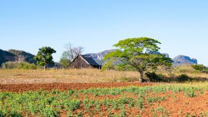 Valle de Viñales