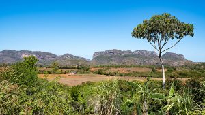 Valle de Viñales