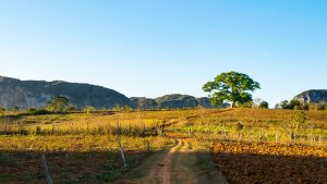 Valle de Viñales