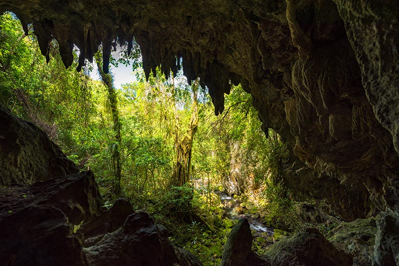 Blick aus einer Höhle im El Nicho Nationalpark