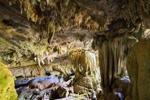 Mammut Höhle im El Nicho Nationalpark