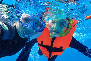 Schwimmen mit Delfinen