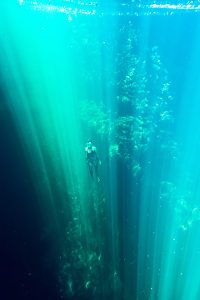 Tauchen im Naturschwimmbecken