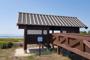 Beobachtungsturm im Ebrodelta