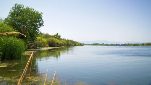 Ebro in Sant Jaume d’Enveja