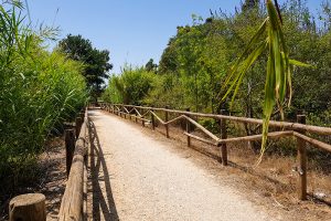 Wanderweg entlang des Ebro